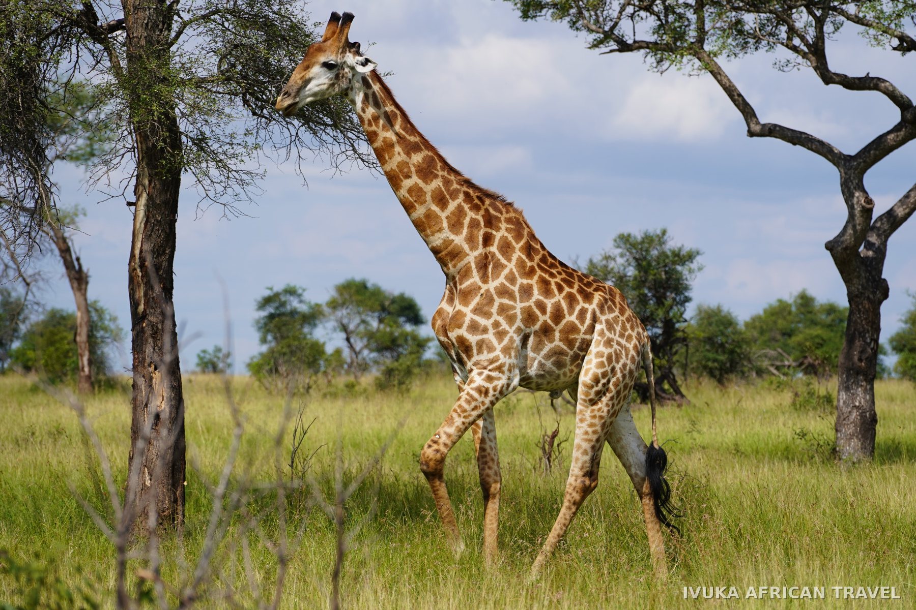 Ivuka African Travel gallery photograph 10