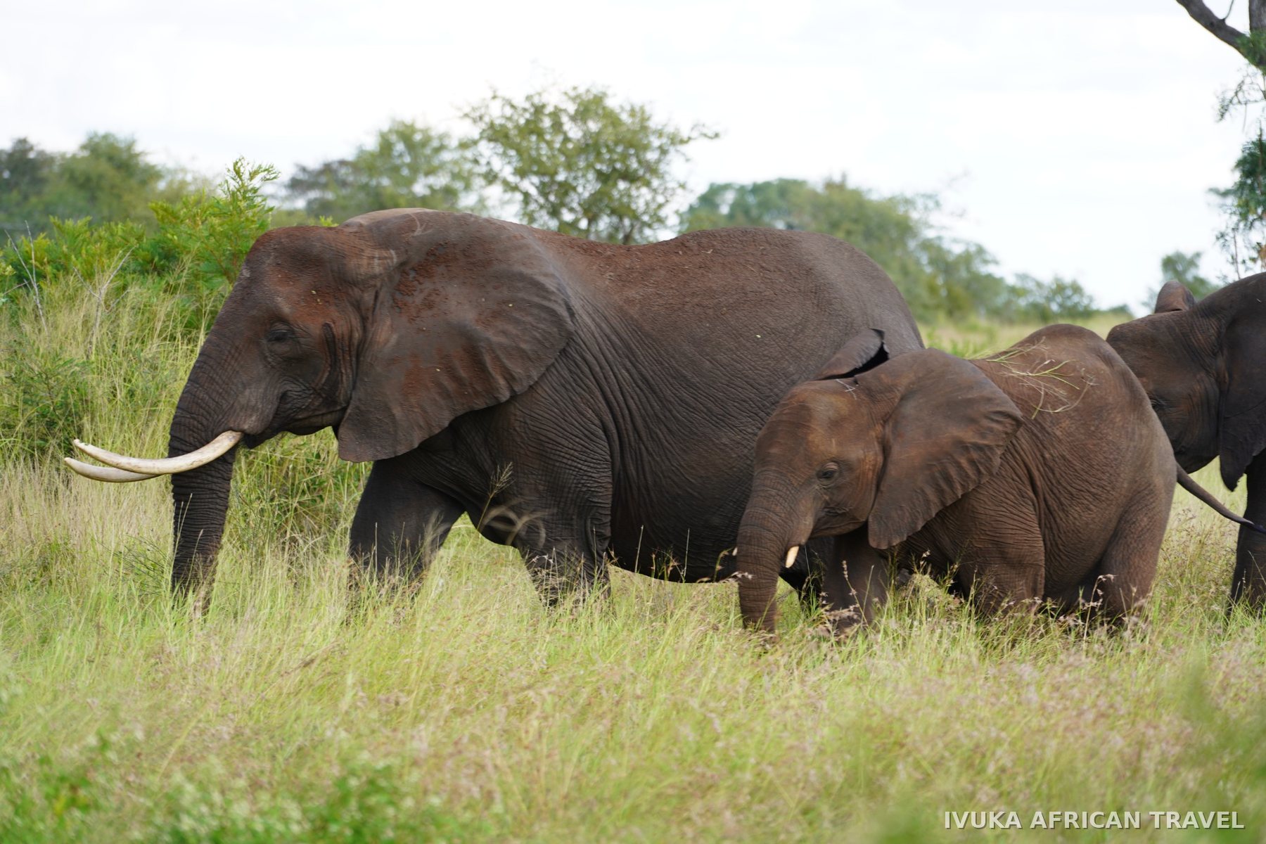 Ivuka African Travel gallery photograph 11