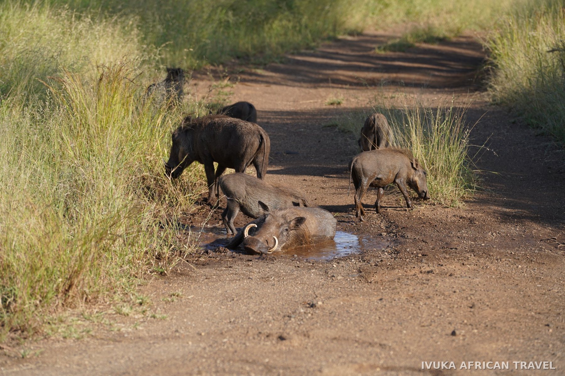 Ivuka African Travel gallery photograph 12