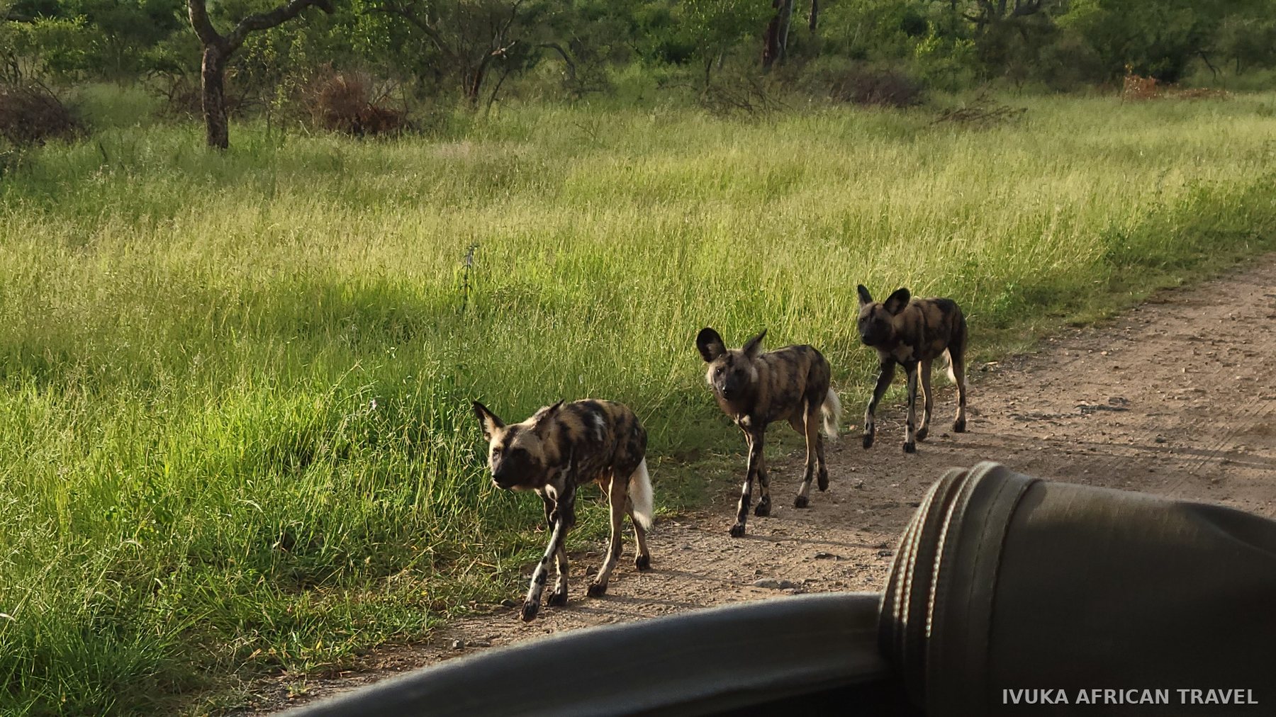 Ivuka African Travel gallery photograph 20