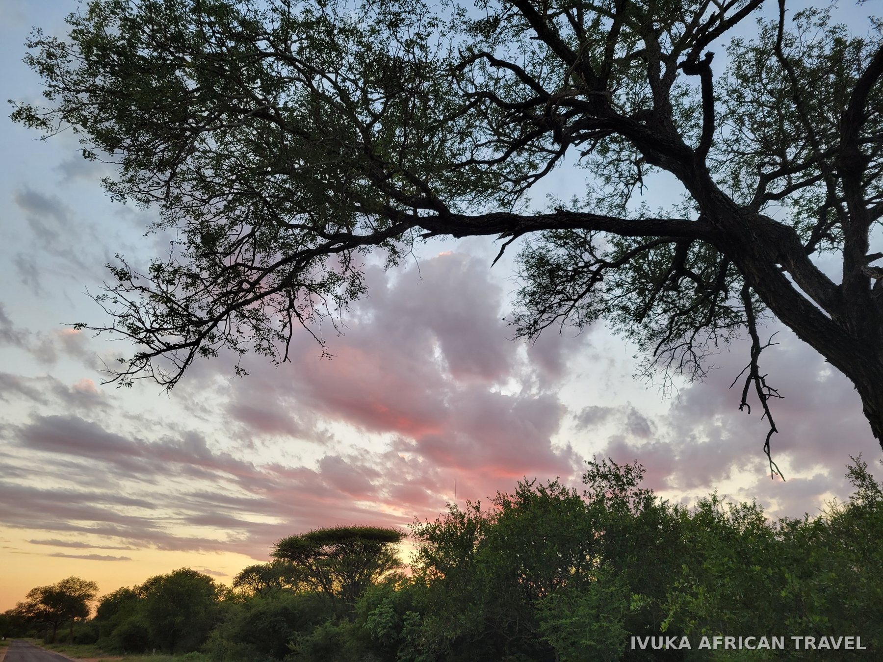 Ivuka African Travel gallery photograph 22